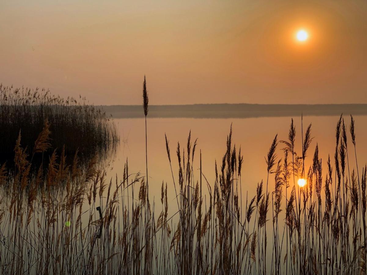 Die Moewen Vetschau Bagian luar foto